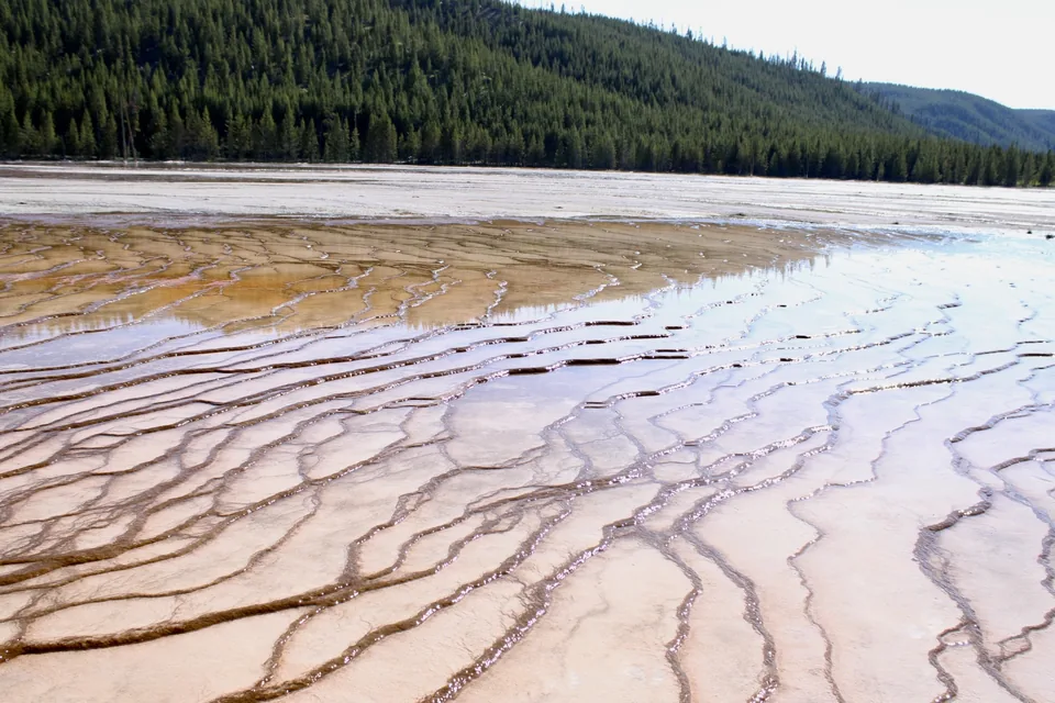 Fine mineral channels crossing pale pink ground