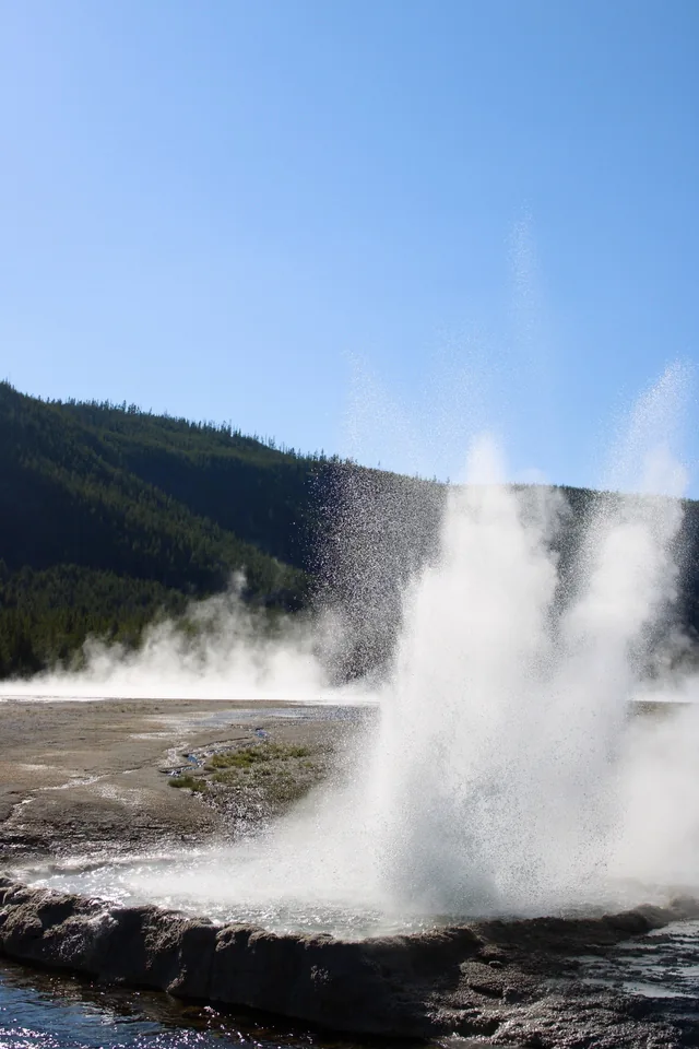 Old Faithful rising above a dark tree line