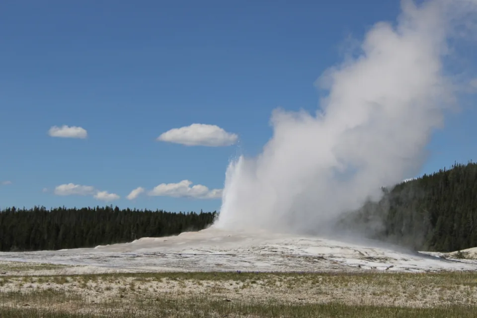 Old Faithful erupting against a clear blue sky
