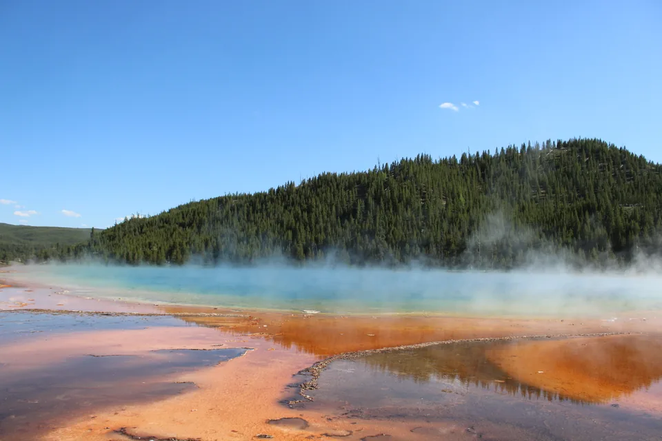 Orange and blue thermal water steaming beneath a pine forest