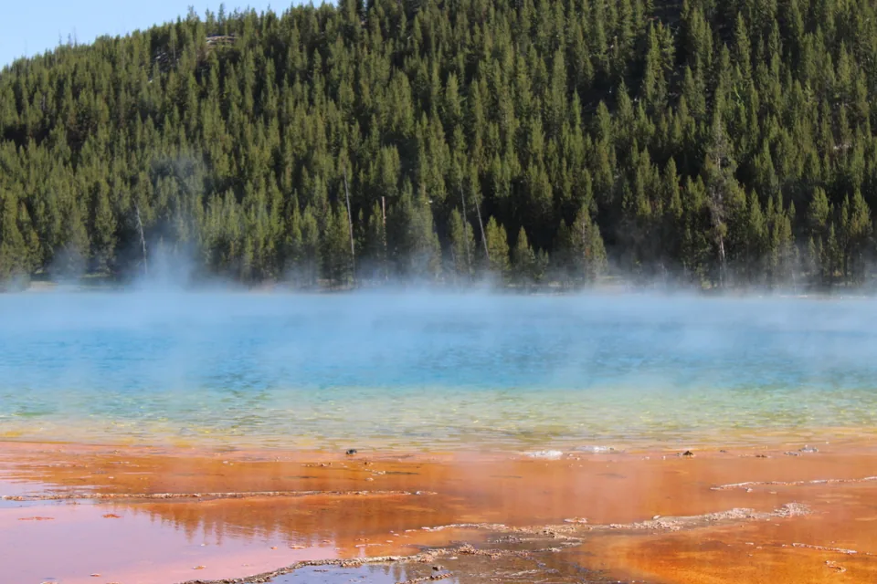 A blue and orange thermal pool beneath a pine forest